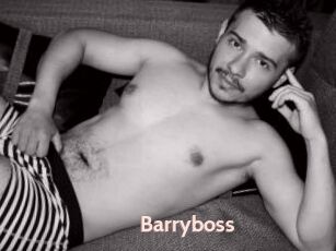 Barryboss