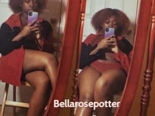 Bellarosepotter