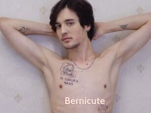 Bernicute