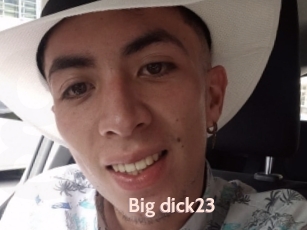 Big_dick23