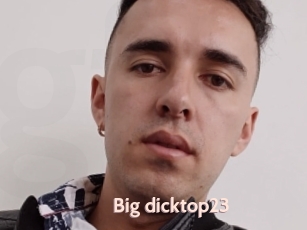 Big_dicktop23