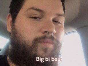 Big_bi_bear