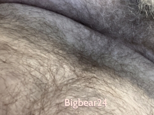 Bigbear24