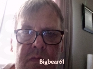 Bigbear61