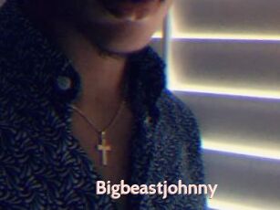 Bigbeastjohnny