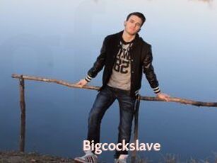 Bigcockslave