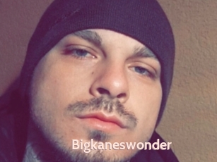 Bigkaneswonder