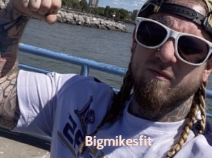 Bigmikesfit