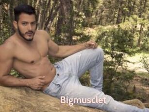 Bigmusclet