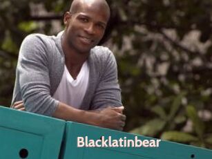 Blacklatinbear