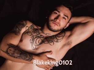 Blakeking0102