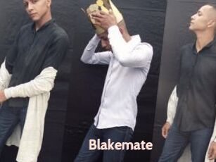 Blakemate