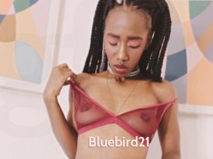 Bluebird21