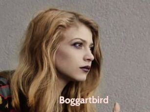 Boggartbird