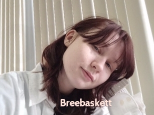 Breebaskett