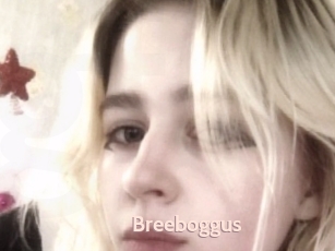 Breeboggus