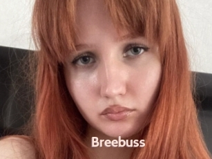 Breebuss