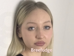 Breefudge