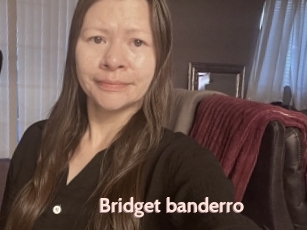 Bridget_banderro