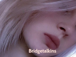 Bridgetalkins