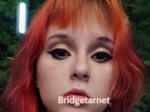 Bridgetarnet