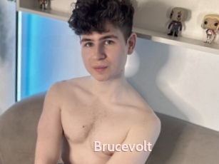 Brucevolt