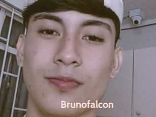 Brunofalcon