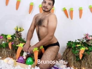 Brunosains