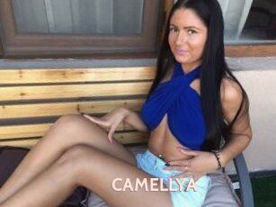 CAMELLYA_