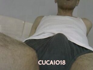 CUCAIO18