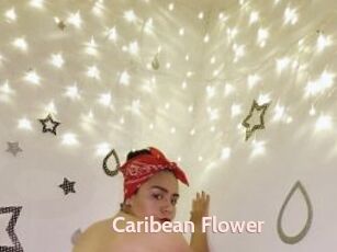 Caribean_Flower