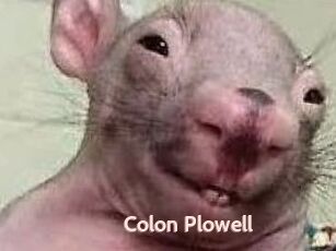 Colon_Plowell