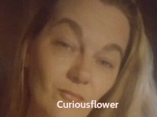 Curiousflower