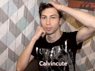 Calvincute