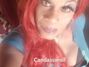 Candasswolf