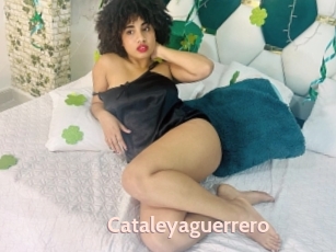 Cataleyaguerrero