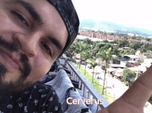 Cerverus