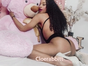 Cloerabbitt