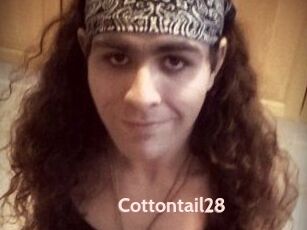 Cottontail28