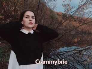 Crammybrie