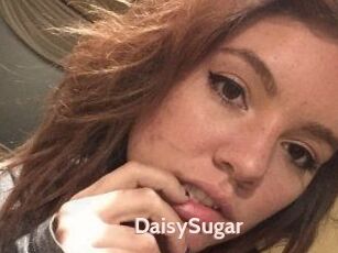 Daisy_Sugar