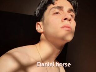 Daniel_horse