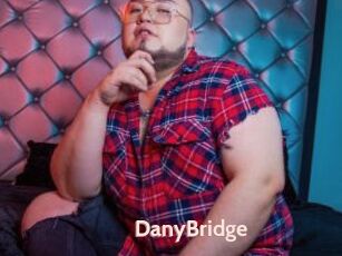 DanyBridge