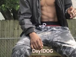 Day1DOG