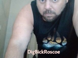 DigBickRoscoe