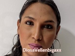 DiosaVellenbigaxx