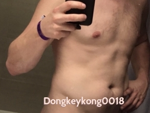 Dongkeykong0018