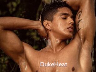 DukeHeat