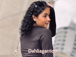 Dahliagarrido