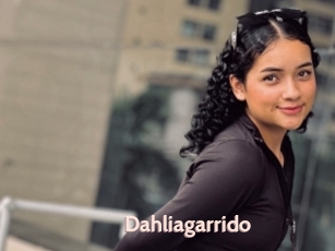 Dahliagarrido